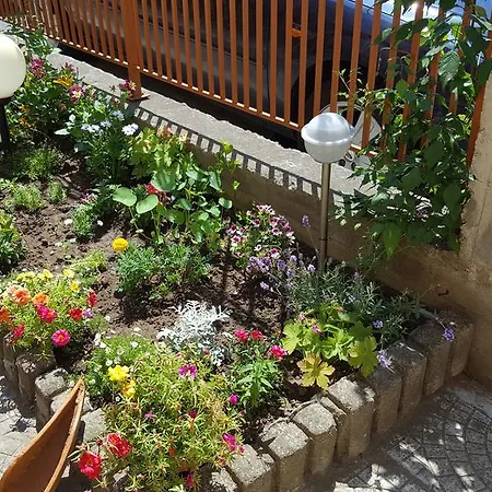 Diamandievi בית הארחה נסבר